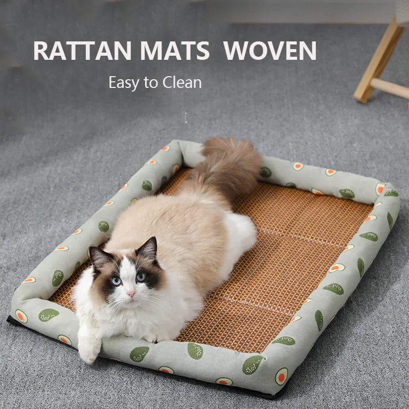 CoolCat Rattan-Liege